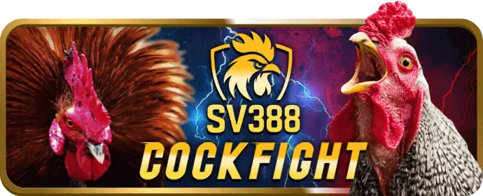 Chơi bắn cá hj88 win trên điện thoại